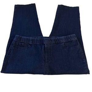 Laura Scott Pull-On Elastic Waistband Stretch Skinny Jeans Size 2X